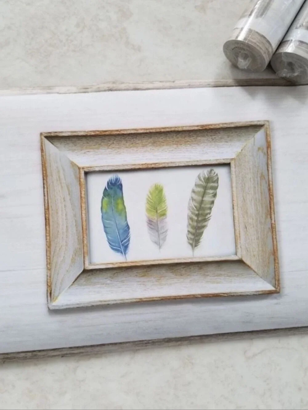 Wallpaper Border Feathers Birds & Ferns